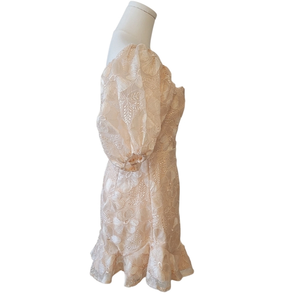 Sage + Paige Clarissa Champagne Lace Mini Dress Size Medium - Picture 4 of 7